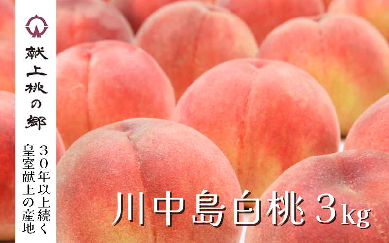 福島県桑折町 献上桃の郷・川中島白桃 3kg | 【公式】JAふくしま未来の
