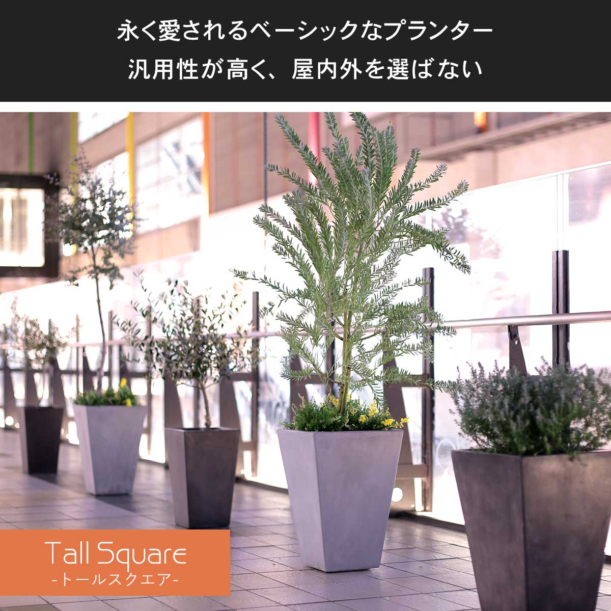 大型 18号鉢対応 鉢カバー 「 クレイポット（CLAYPOT） トールスクエア