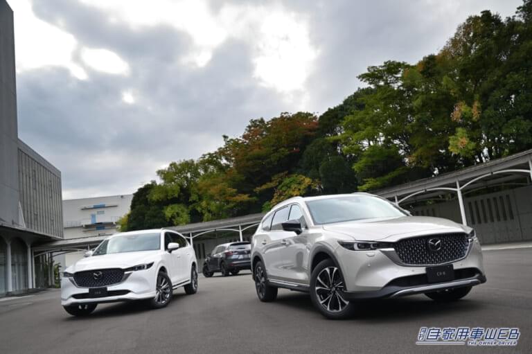 KAZ_6489-768x511.jpg?v=1692601039