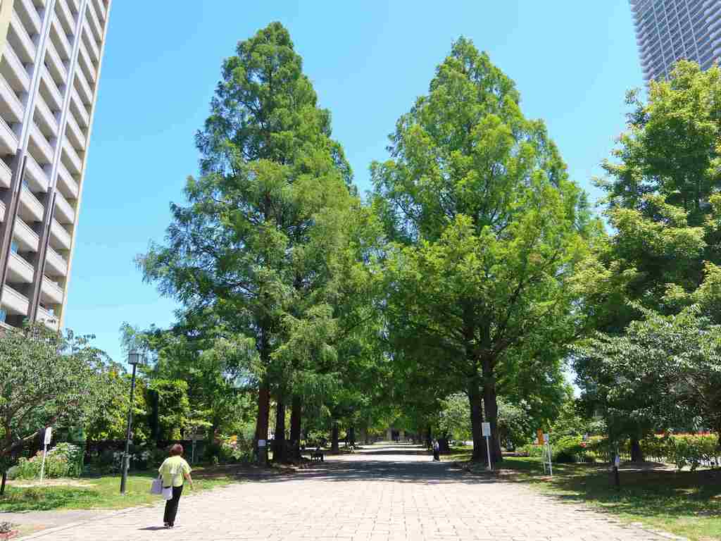 東千田公園（旧広島大学跡地）（広島県） | 【ロケ地 検索】全国