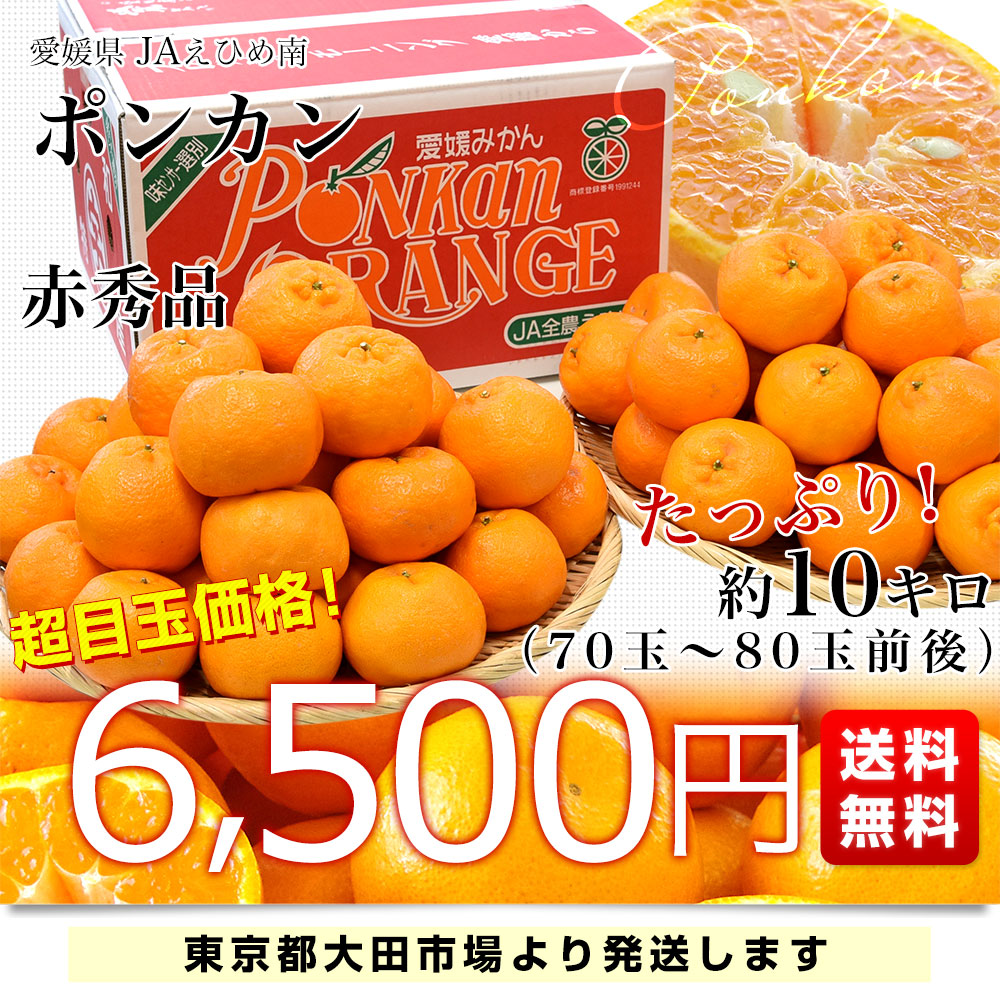 愛媛県産 JAえひめ南 ポンカン 赤秀品 Lサイズ 約10キロ (70玉から80玉