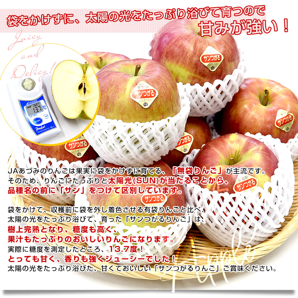 長野県産 JAあづみ 安曇野 サンつがるりんご 優品以上 約3キロ 大玉（8