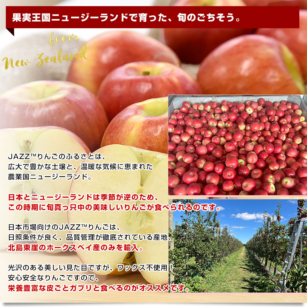 ニュージーランド産 JAZZりんご(品種:サイフレッシュ) 約2.6キロ(12玉