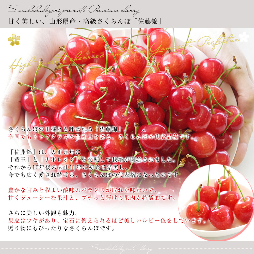 山形県産 JAみちのく村山 さくらんぼ 佐藤錦 秀品以上 大粒Lサイズ以上
