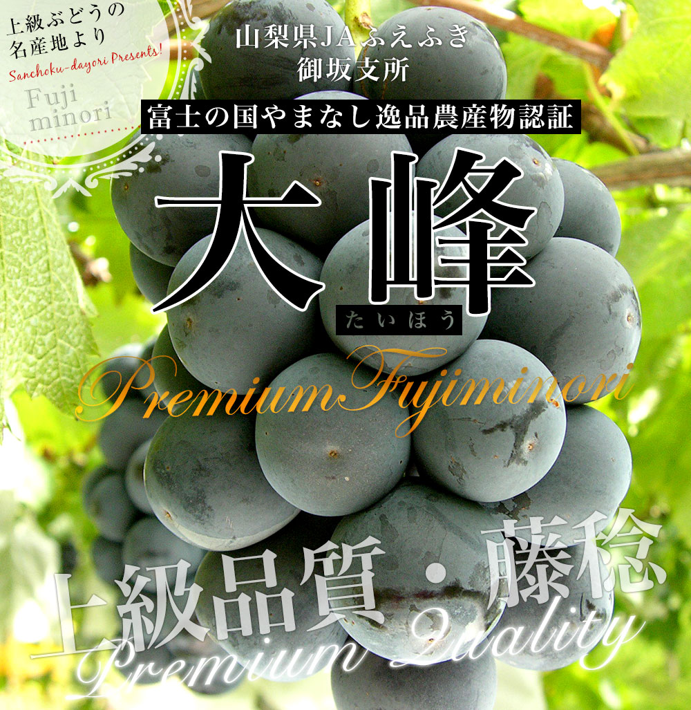 山梨県産 JAふえふき御坂支所 大峰（たいほう）約1.8キロ(3房入り) 黒