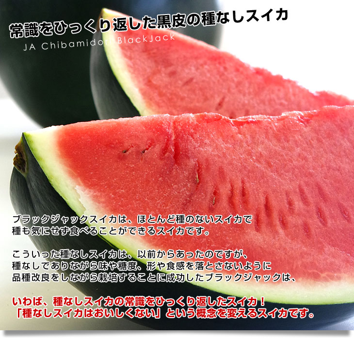 千葉県産 JAちばみどり 銚子の黒皮スイカ ブラックジャック 4L 大玉1玉