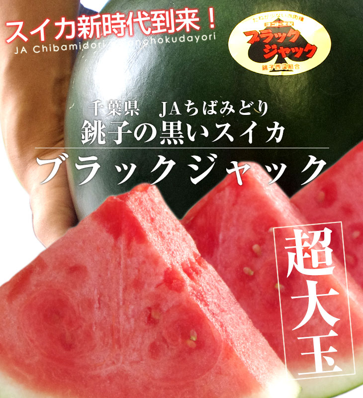 千葉県産 JAちばみどり 銚子の黒皮スイカ ブラックジャック 4L 大玉1玉