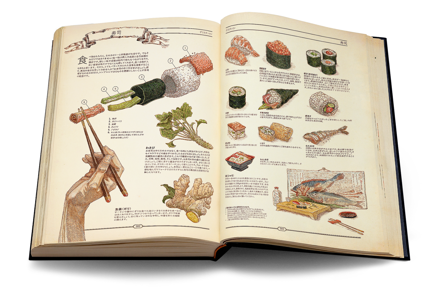 The Book」：究極の文明再構築ガイド - Hungry Minds