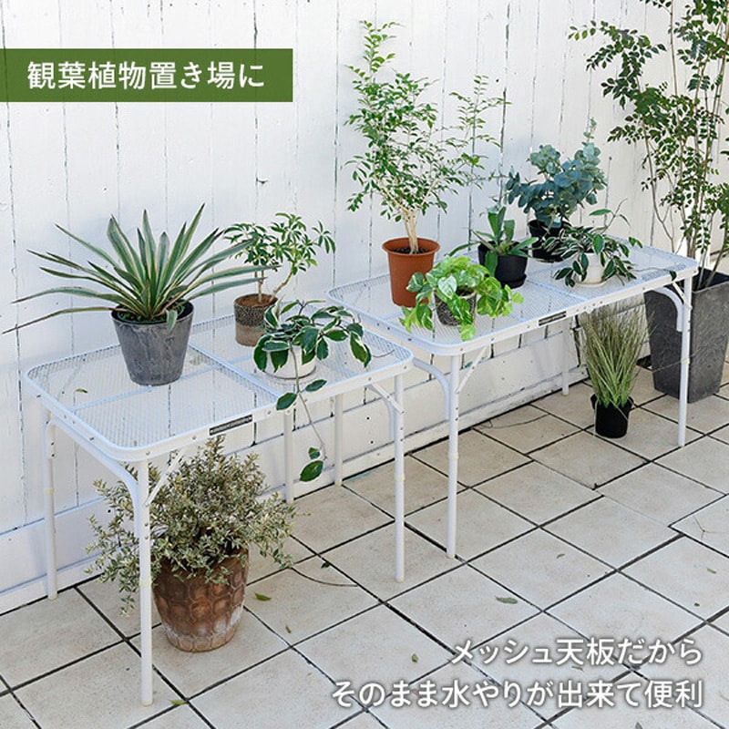 TLT-1260(WH) タフライトレジャーテーブル YAMAZEN(山善) ホワイト色