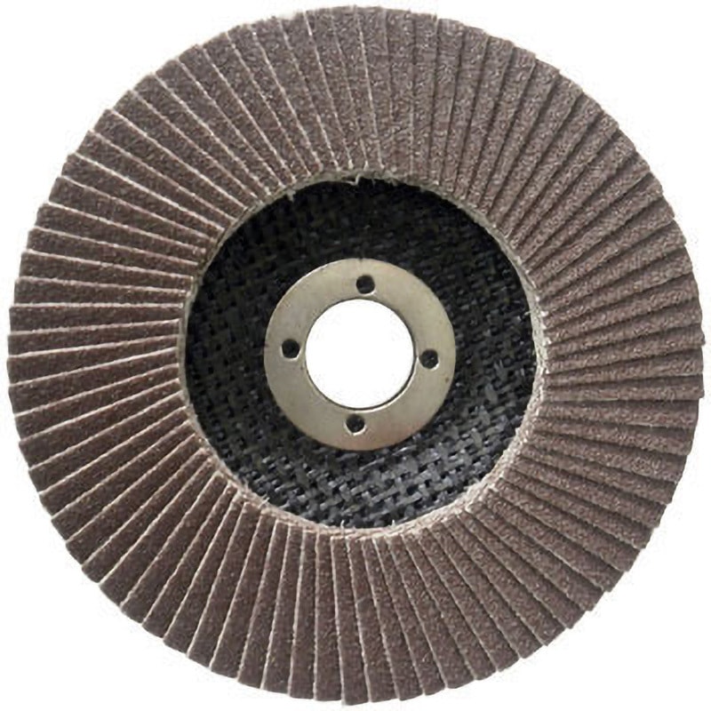 テクノディスクREVO イチグチ 砥材A 粒度80 外径100mm 1枚 - 【通販