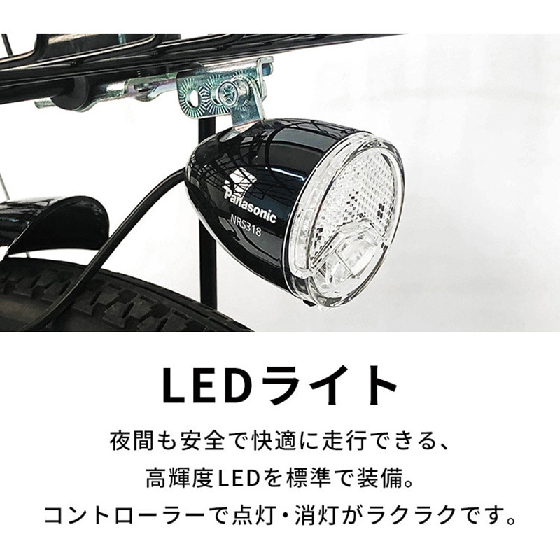 TDN-208L-LG 折り畳み電動アシスト自転車 TDN-208L【簡易組立必要