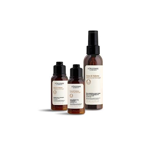 ロクシタンで贈るホリデーギフト｜ロクシタン公式通販