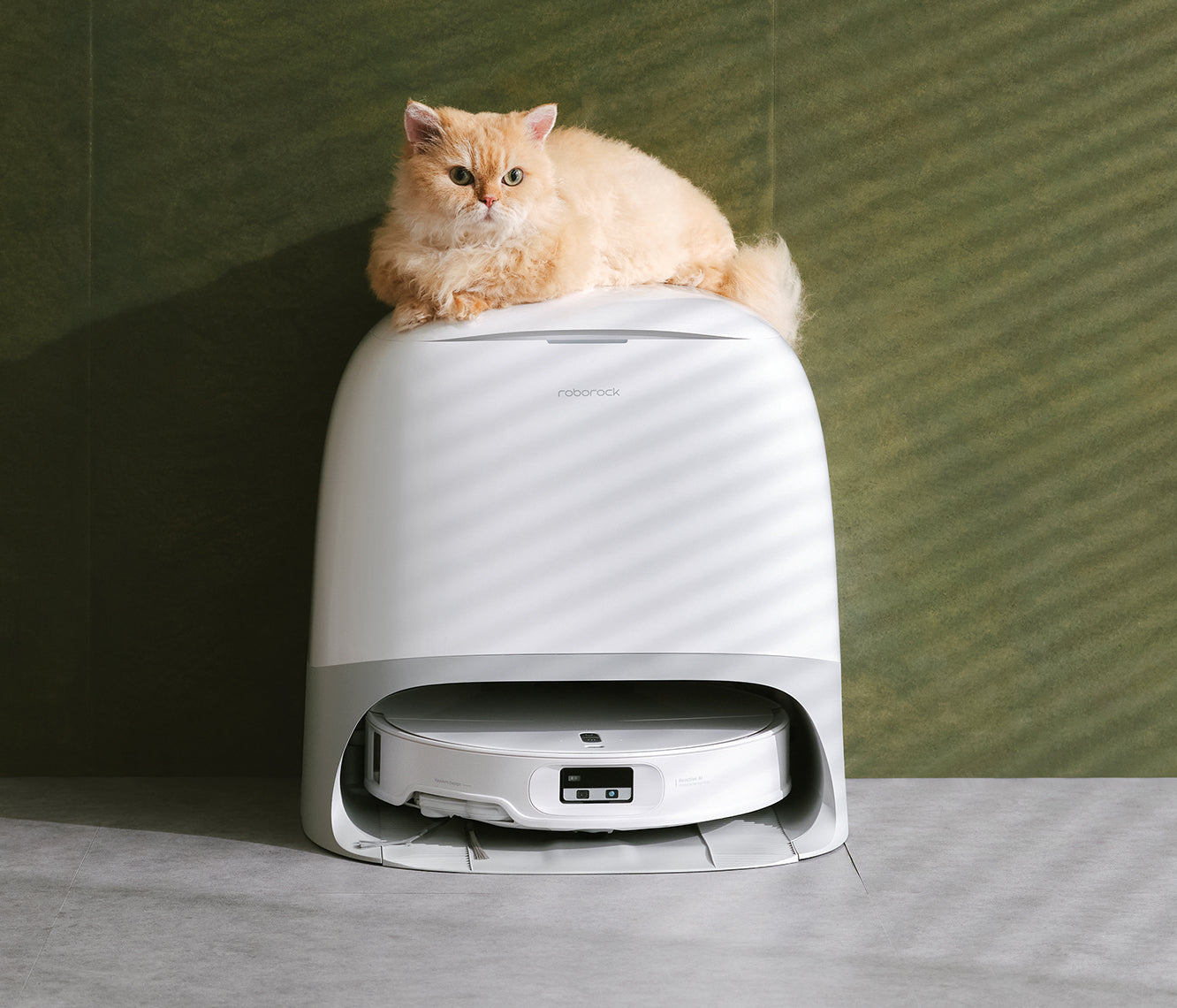 Roborockスマートロボット掃除機の世界へ | Roborock ロボロック公式サイト