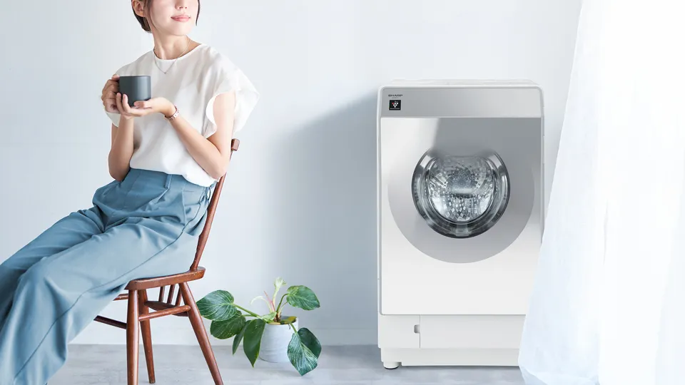 ES-G11C | 洗濯機：シャープ