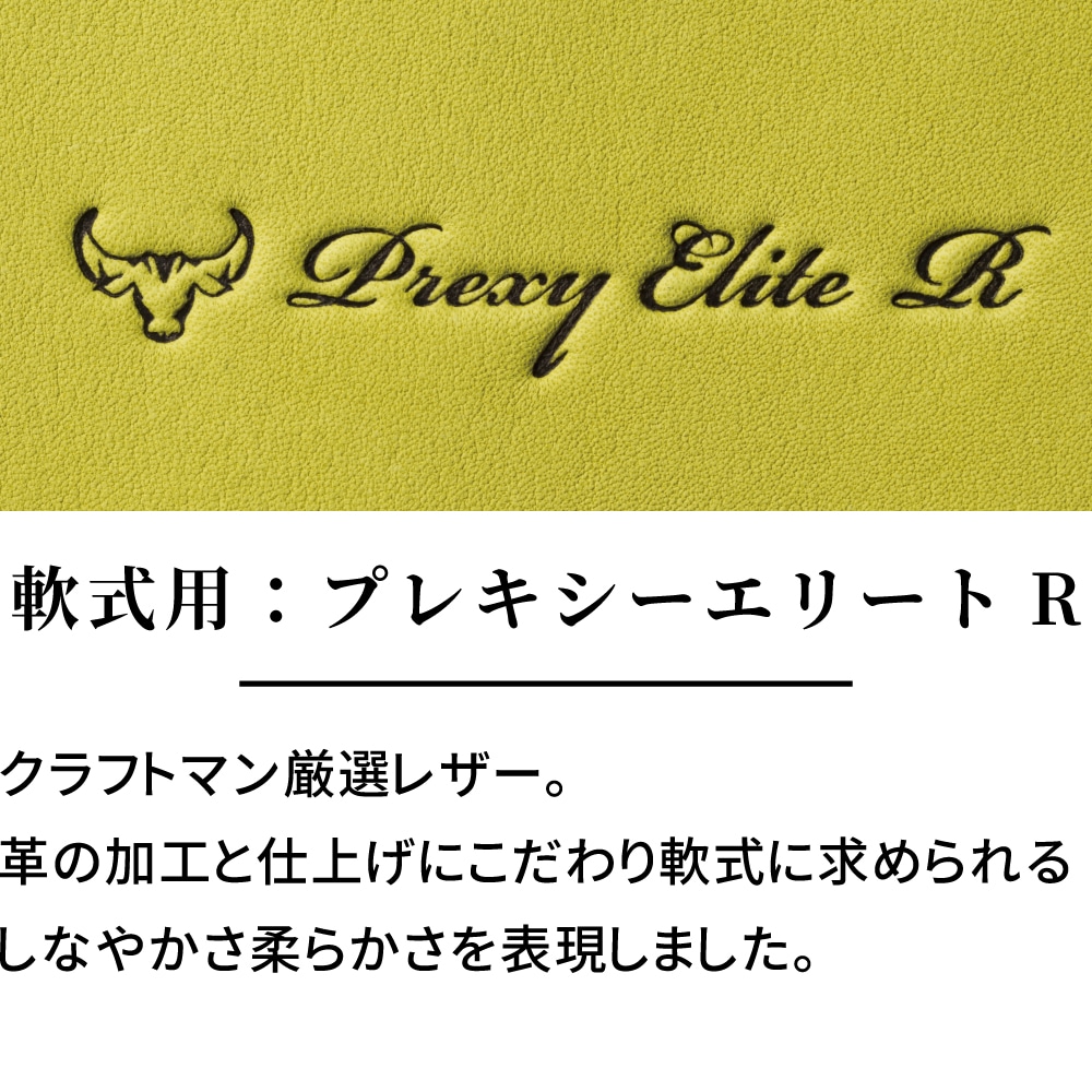 軟式用【ミズノプロ】CRAFTED Edition【西川型／サイズ16N