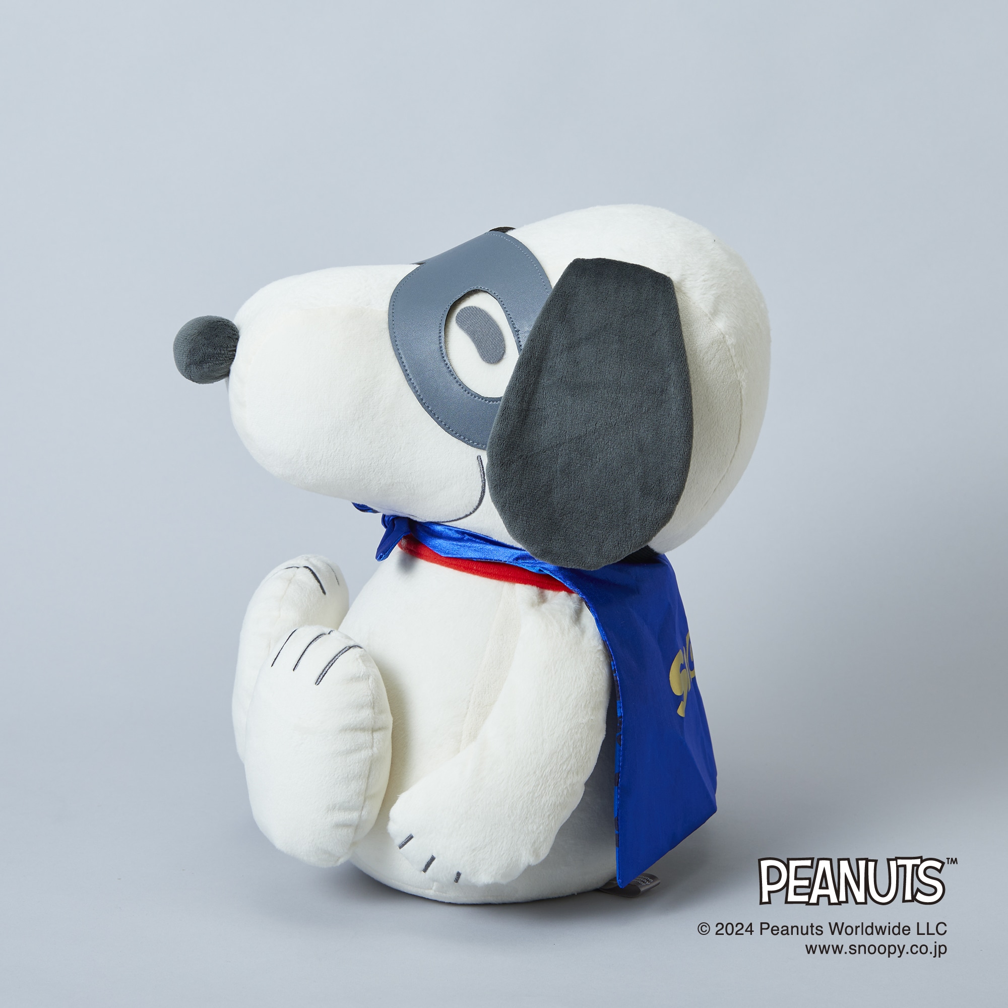 PEANUTS】スヌーピーメディシンボール ウェアグラースィズ|C3JHIB06