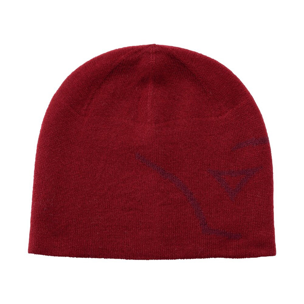 吸湿発熱】ブレスサーモニットキャップ|32JWC503|ミズノトレーニング