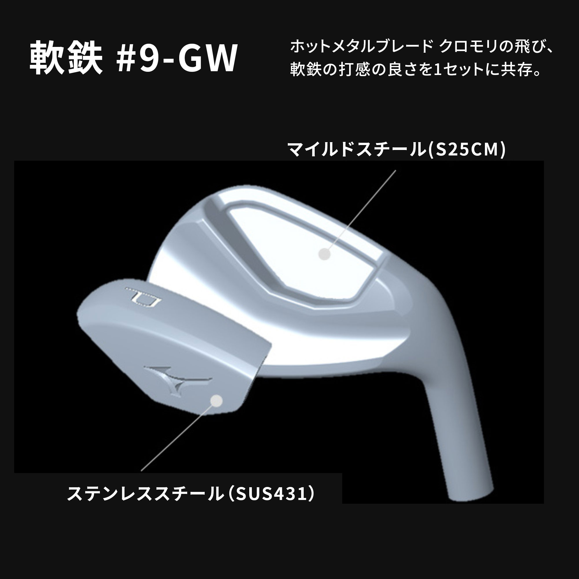 Mizuno Pro 245 アイアン 6本組／左用(No.5～9、PW)(Dynamic Gold 95