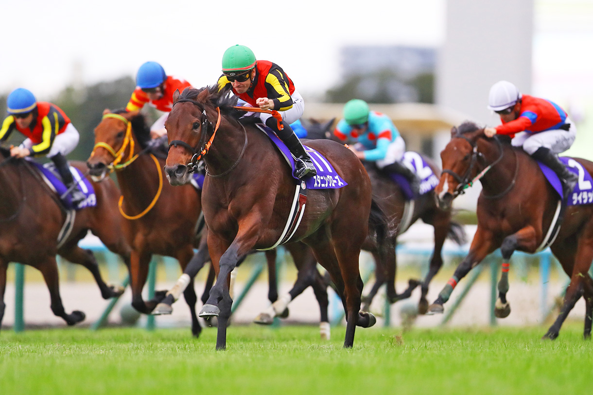 エリザベス女王杯2025 過去10年の傾向(データ)｜G1特集｜競馬予想