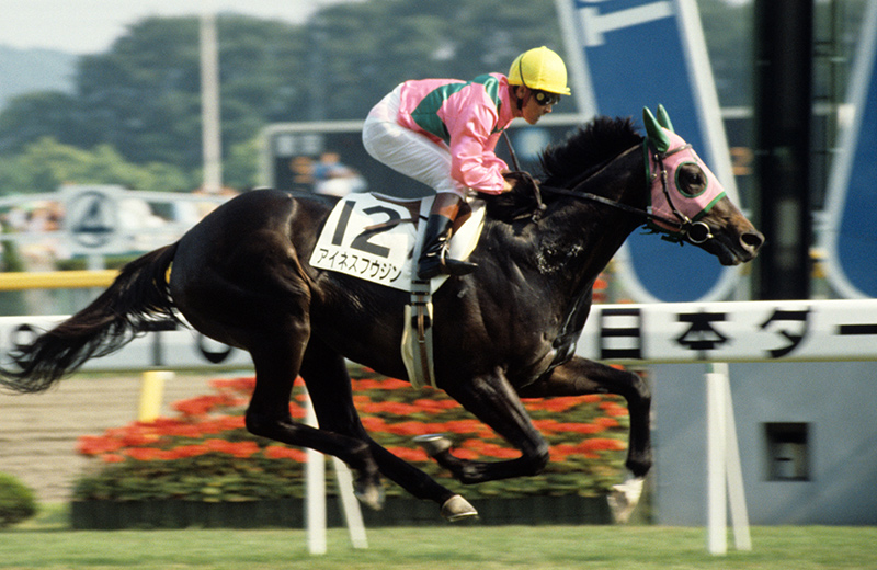 アイネスフウジン｜名馬メモリアル｜競馬情報ならJRA-VAN