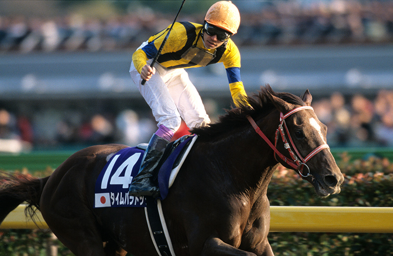 タイムパラドックス｜名馬メモリアル｜競馬情報ならJRA-VAN