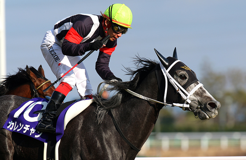 カレンチャン｜名馬メモリアル｜競馬情報ならJRA-VAN