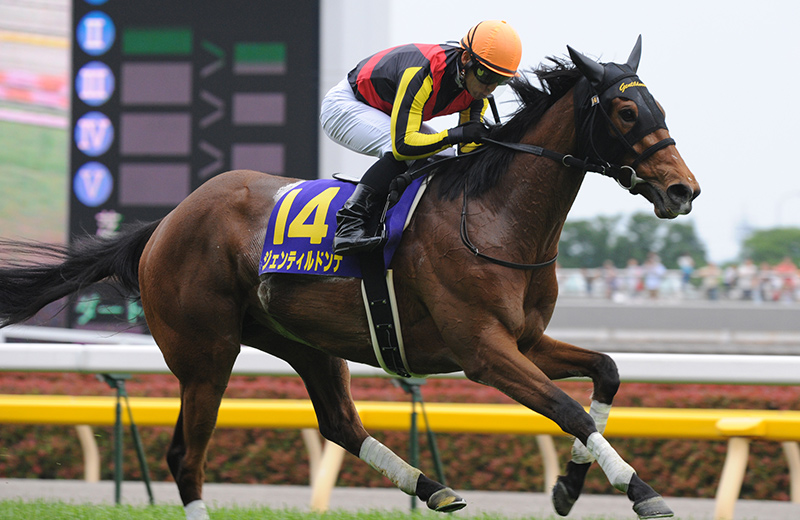 ジェンティルドンナ｜名馬メモリアル｜競馬情報ならJRA-VAN