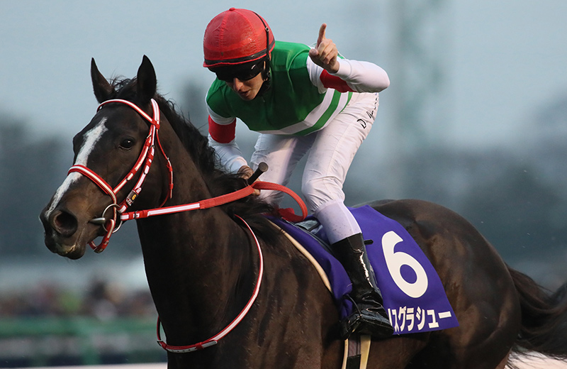 リスグラシュー｜名馬メモリアル｜競馬情報ならJRA-VAN