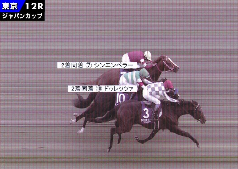 ドウデュース ウェルカムチャンス 2024年ジャパンカップ優勝