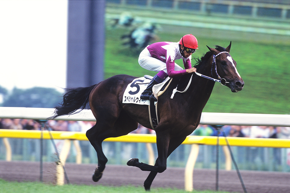 スペシャルウィーク｜3分でわかった気になる名馬 JRA