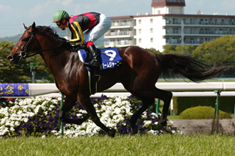 JRAホームページ｜データファイル｜競走成績データ