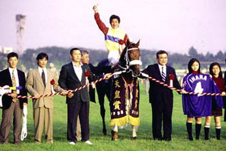 JRAホームページ｜データファイル｜競走成績データ