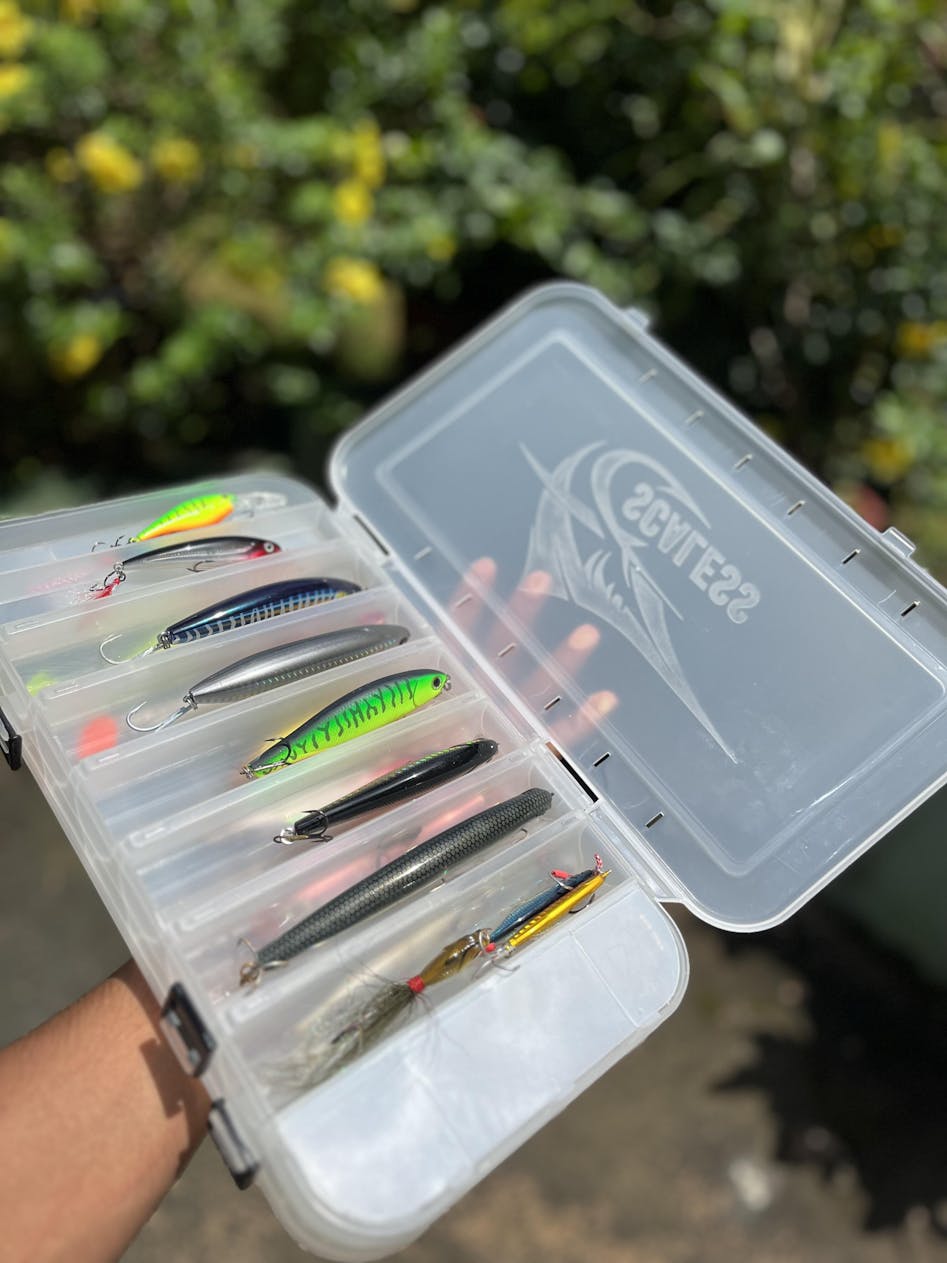 Daiwa Phantom Versatile Spinning Rod | 8Ft - H | – Fishermanshub