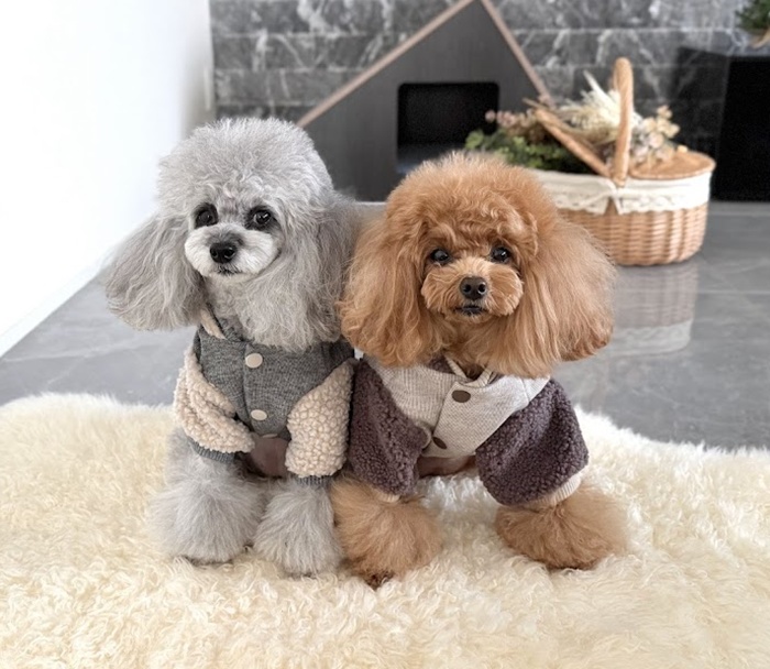 ボアコンビジャケット 可愛い小型犬の洋服通販 鎌倉ドッグ