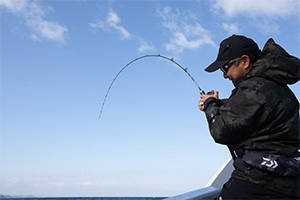 新製品】ダイワ：最高峰ソルティガLJ入荷！鹿児島谷山店 | かめや釣具