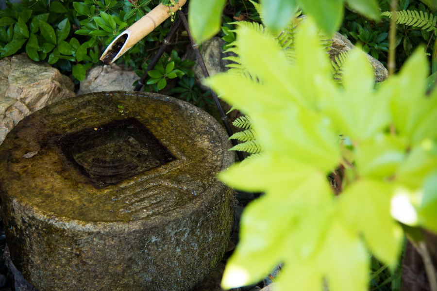浜松市のうなぎ店かねりん