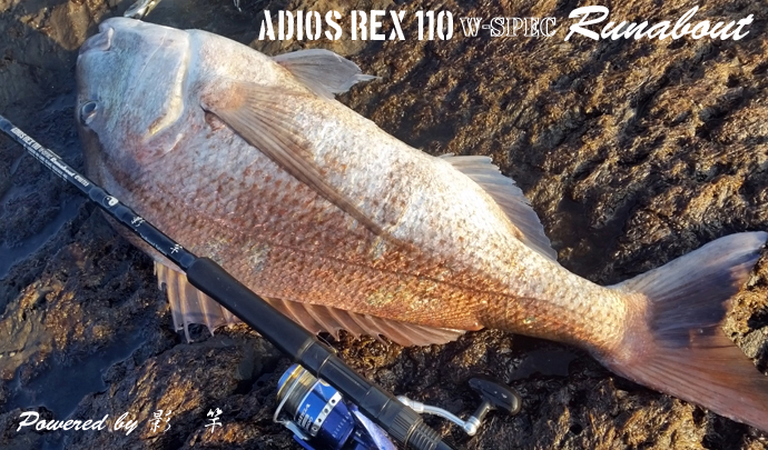 ADIOS REX 110 W-spec Runabout 影竿