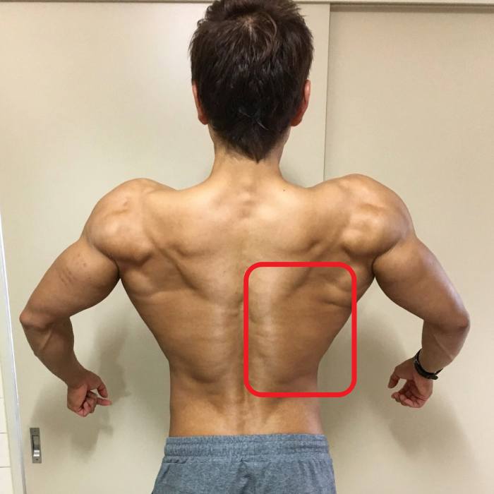 背中】ワンハンドローイングのやり方・コツを写真付きで解説！広背筋を