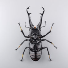 RG007 リボジオ ギラファノコギリクワガタ｜リボジオ｜海洋堂