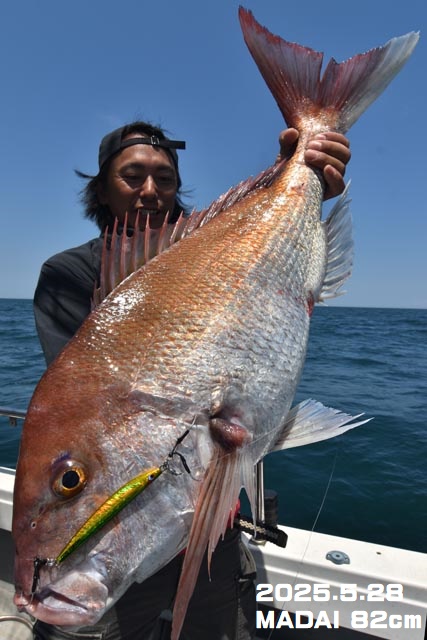 2025年 1～6月 釣果