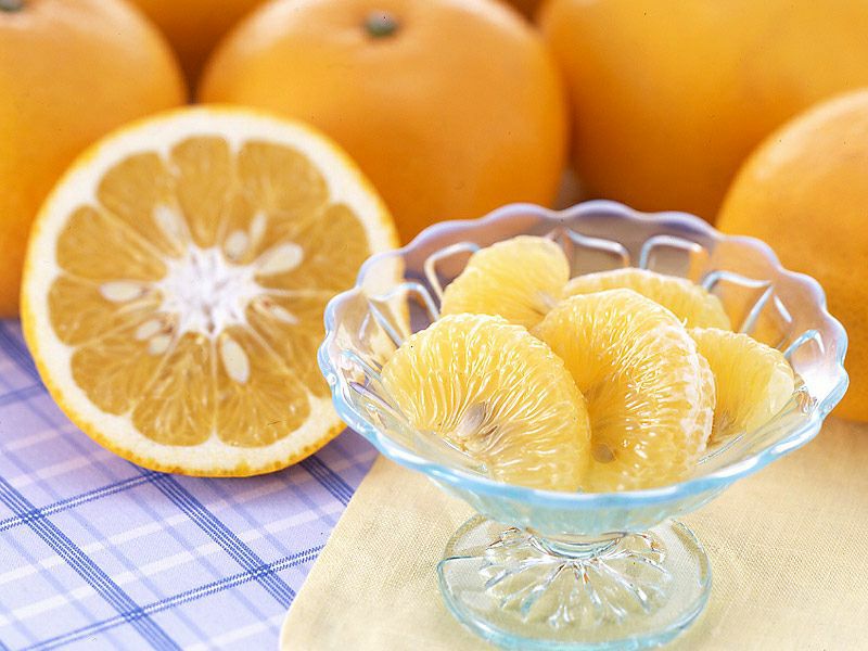 八朔(はっさく)約7kg-家庭用 | のま果樹園