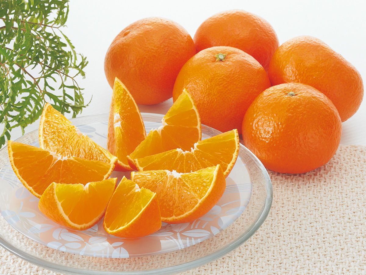 000000000599-01.jpg?size=xl&w=