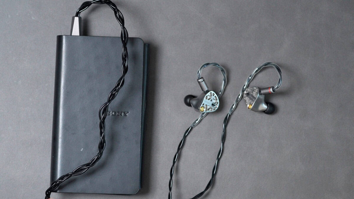 約40万円】これが超高級有線イヤホンの世界【Melodic artification