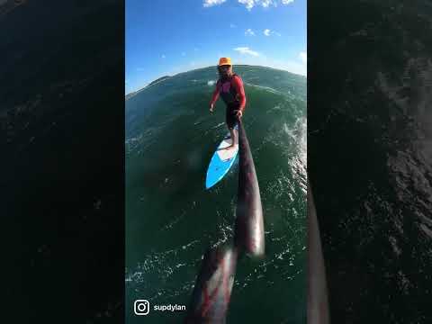 V1 BARRACUDA - DOWNWIND FOIL BOARD – Kalama Performance AU