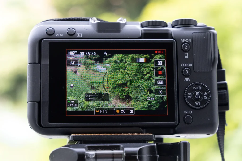 CANON EOS R50 Vレビュー！動画撮影に特化したミラーレスデジタル一眼