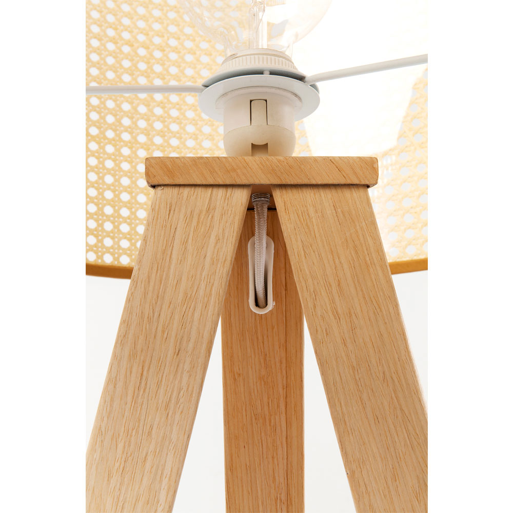 廃番】トライポットネイチャー フロアランプ ｜【KARE】ドイツの家具