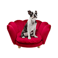 廃番】スケータードッグ 65x65cm ピクチャーフレームアート ｜【KARE