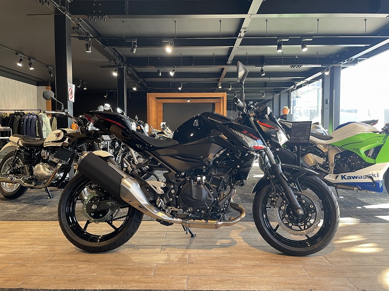 2024年12月20日時点 中型モデル販売状況！ | KAWASAKI-ZONE