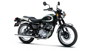 Kawasaki Z650 | Supernaked Motorcycle | Aggressive Versatility