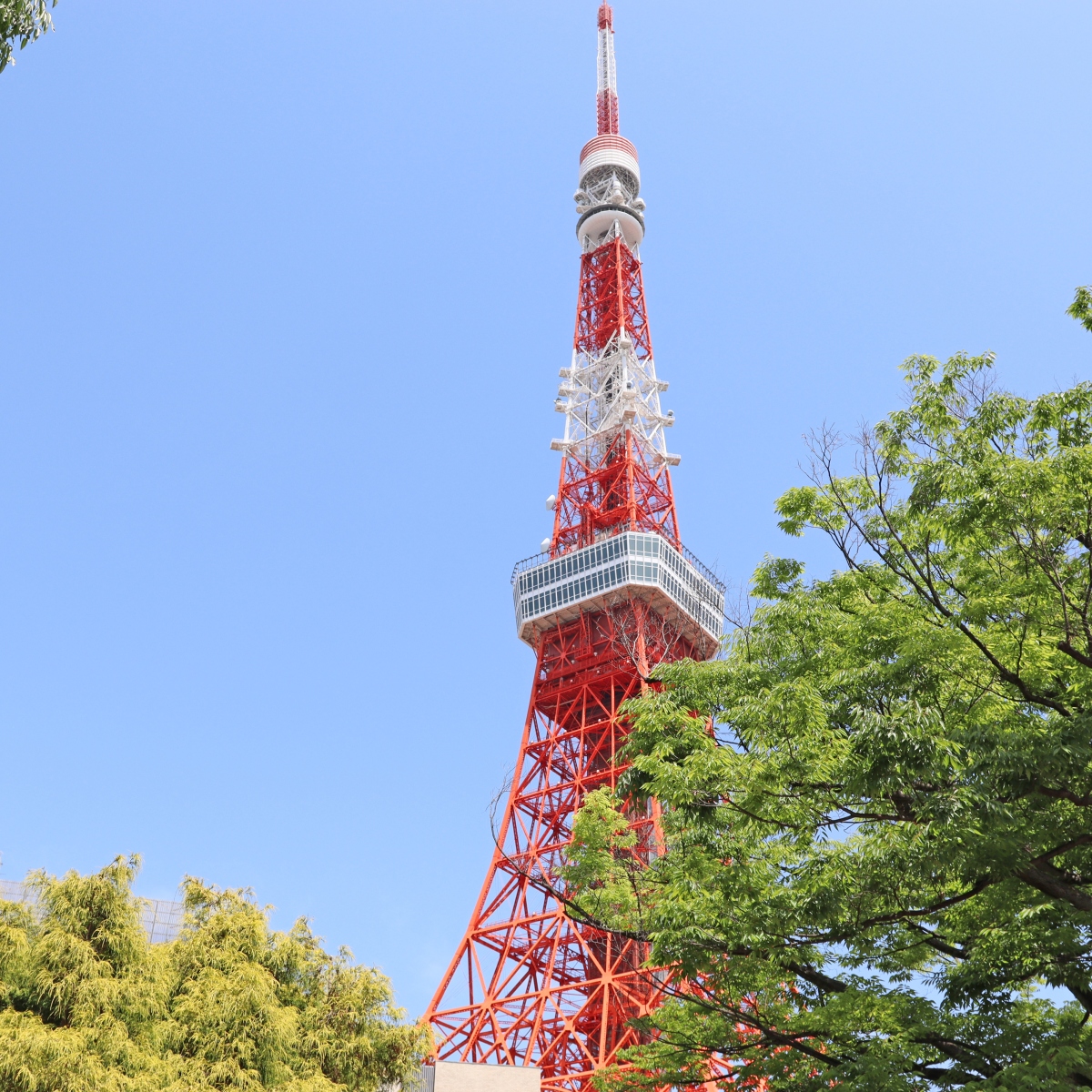 半径500メートルで「東京タワー」を大満喫！絶景＆映えスポットガイド